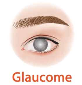 Rétinopathie Diabétique